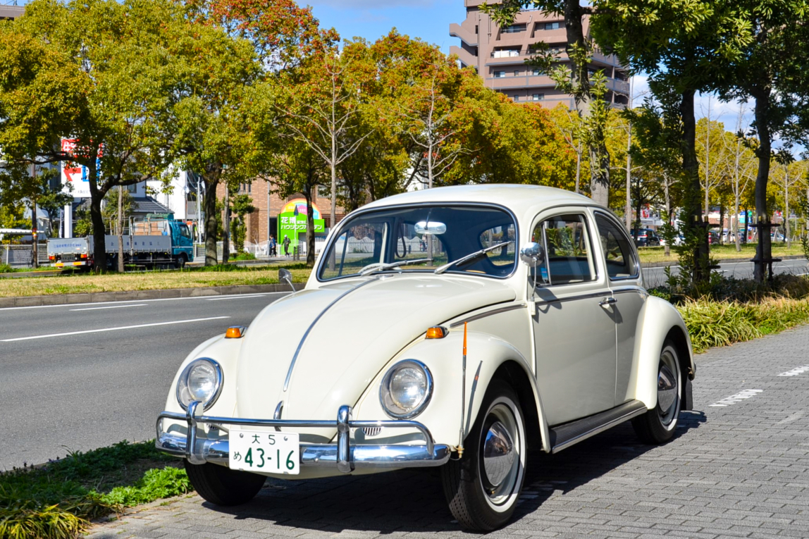 65 VW TYPE-Ⅰ BEETLE / YANASE 